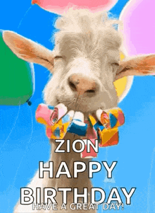 a goat is holding balloons in its mouth and blowing a party horn .