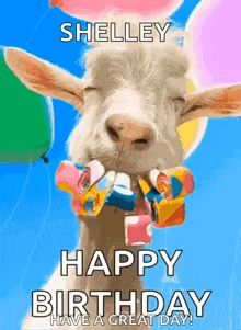a goat is holding balloons in its mouth and wishing shelley a happy birthday