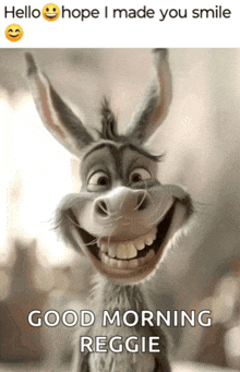 a picture of a donkey with the words good morning reggie