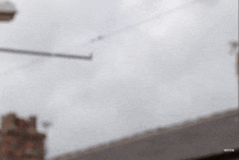a close up of a man 's face with a watermark that says ' vimeo ' on the bottom right