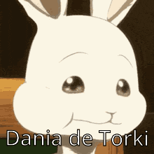 a close up of a white rabbit with the words dania de torki written on it .