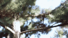 Kamen Rider Kamen Rider Geats GIF - Kamen Rider Kamen Rider Geats Geats GIFs