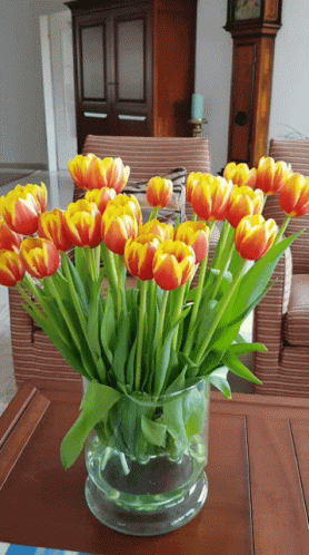 tulip-tulp.gif