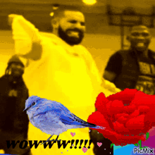 Wow Omg GIF - Wow Omg Drake GIFs