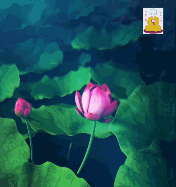 Good Night Buddha GIF - Good Night Buddha Lotus - Discover & Share GIFs