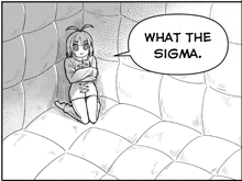 Sigma What The Sigma GIF