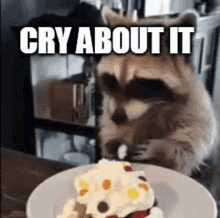 Cry About It Raccon GIF - Cry About It Raccon Raccon Cry About It GIFs