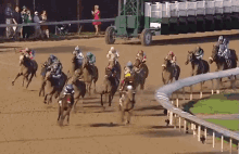 Derby Horses GIF - Derby Race Horses GIFs