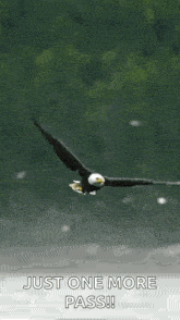 a bald eagle is flying over a body of water with the words `` just one more pass '' written below it .