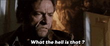 a man with a beard is asking " what the hell is that "