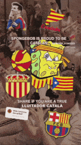 a poster that says spongebob is proud to be catalan and share if you are a true lluitador catala