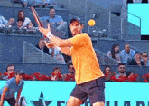 Andy Murray Forehand GIF - Andy Murray Forehand Topspin GIFs