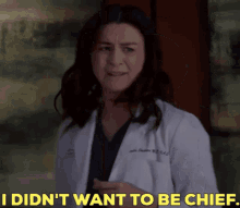 Greys Anatomy Amelia Shepherd GIF - Greys Anatomy Amelia Shepherd I Didnt Want To Be Chief GIFs