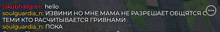 a screenshot of a conversation between jakobhallgren hello and soulguardia_n_