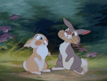 Rabbits GIF - Rabbits GIFs