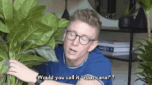 Would You Call It A Root Canal Pun GIF - Would You Call It A Root Canal Pun Punny GIFs