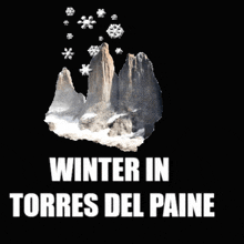 rental natales rentalnatales patagonia chile torres del paine