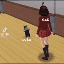 Felx Daf GIF - Felx Daf Cat GIFs