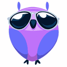 cute bird violet sunglasses shades on