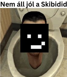 a picture of a man sitting in a toilet with the words nem all jol a skibidid above him