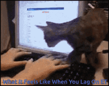 Lag What It Feels Like When You Lag On Et GIF - Lag What It Feels Like When You Lag On Et Cat GIFs