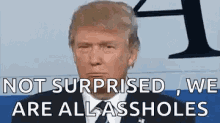 Not Surprised Donald Trump GIF - Not Surprised Donald Trump Surprised GIFs