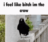 I Feel Like Bitch Im The Crow Lil Uzi Vert GIF - I Feel Like Bitch Im The Crow Lil Uzi Vert Pink Tape GIFs