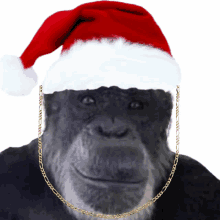 perlun je king perlun je king