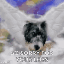 Run Free Sorry For Your Loss GIF - Run Free Sorry For Your Loss Deepest Sympathy GIFs