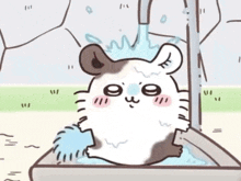 a cartoon of a hamster taking a bath with water coming out of a faucet