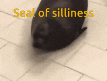 a seal is crawling on a tiled floor with the words seal of silliness written above it