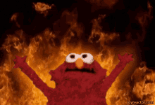 fire elmo flames on fire muppets