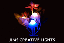 Flower Flower Light GIF - Flower Flower Light Plant GIFs