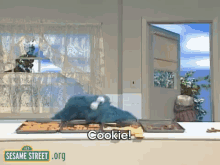Cookie! Cookie! GIF - Cookie Cookie Monster GIFs