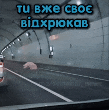 a picture of a pig in a tunnel with the caption " tu bxe cboe bidxpjokab "