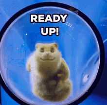 Ready Up Lets Go GIF - Ready Up Lets Go Hamster GIFs