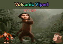 Volcanic Viper Monkey GIF