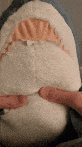 a stuffed shark is being held by a person