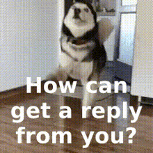 How Can Get A Reply From You GIF - How Can Get A Reply From You GIFs