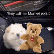 a dog and a teddy bear are in the back of a car ..
