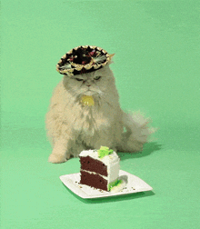 Birthday Cake Birthday Cat GIF