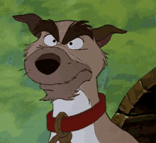 The Fox And The Hound Shocked GIF - The Fox And The Hound Shocked Wtf GIFs