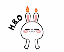 happy birthday bunny smiling cute