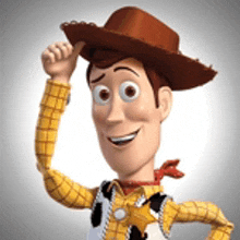 woody from toy story is wearing a cowboy hat and a plaid shirt