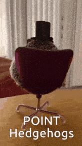 a hedgehog wearing a top hat is sitting in a chair with the caption point hedgehogs