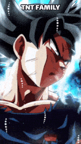 a close up of a dragon ball z character with the words tnt family above him