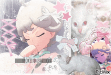 a picture of a girl with a cat and the word picmix on the bottom right