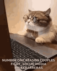 Business Cool GIF - Business Cool Cute GIFs