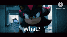 shadow the hedgehog from sonic the hedgehog holding a cell phone and asking what