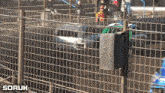 a fence with the word soruk at the bottom of it
